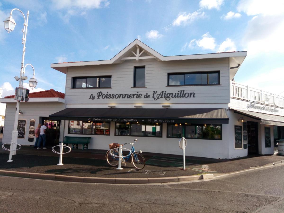 L' Albatros Apartment Arcachon Ngoại thất bức ảnh
