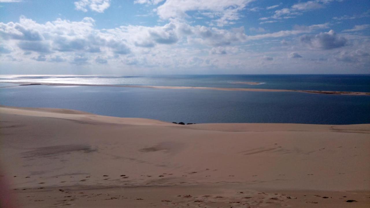 L' Albatros Apartment Arcachon Ngoại thất bức ảnh