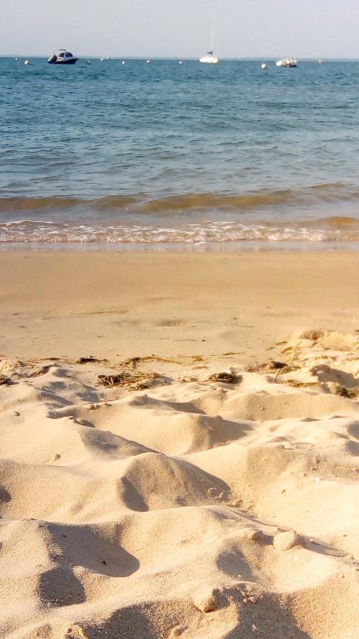 L' Albatros Apartment Arcachon Ngoại thất bức ảnh